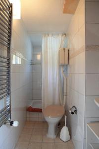 a small bathroom with a toilet and a shower at Hotel Guidon Apartments in Bivio