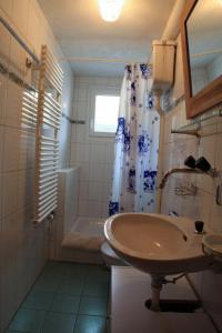ein Bad mit einem Waschbecken und einem Duschvorhang in der Unterkunft Hotel Guidon Apartments in Bivio