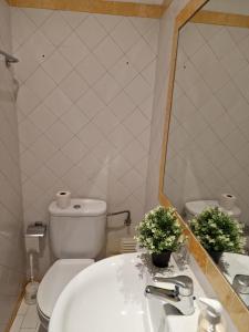 La salle de bains est pourvue de toilettes, d'un lavabo et d'un miroir. dans l'établissement D&N Hospedagem, à Lisbonne