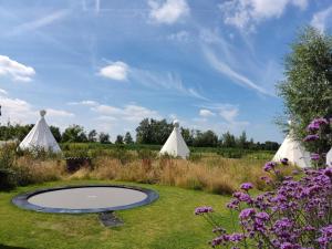 trampolina na środku pola z namiotami w obiekcie Landgoed Omorika w mieście Ravels