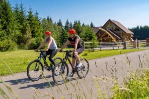 Jízda na kole v ubytování KRALJICA ŠUME - Divjake Log Home nebo okolí