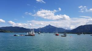 un groupe de bateaux flottant sur une grande étendue d'eau dans l'établissement Beim Lanner - Franz, à Mondsee