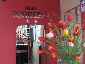 Gallery image of Hotel Torresur Tacna in Tacna