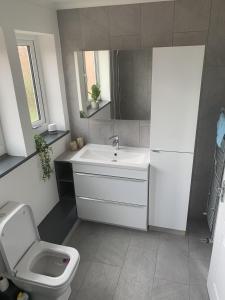 y baño con lavabo y aseo. en Crowthorne House, beautiful 3 bedroom Home for upto 8 Guests, with sofa bed Cul-de-sac with Private Driveway en Nottingham