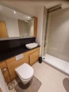 La salle de bains est pourvue de toilettes, d'un lavabo et d'une douche. dans l'établissement Dartford Lodge, à Kent