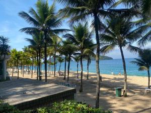 Naturlandskabet i nærheden af lejligheden