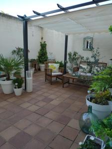 Gallery image of Patio in Zamora