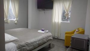een slaapkamer met een bed en een tv en een gele stoel bij Alojamientos Támpur in San Mateo