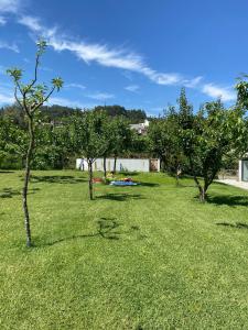 um campo de relva com árvores em Casa dos Avós em Póvoa de Lanhoso