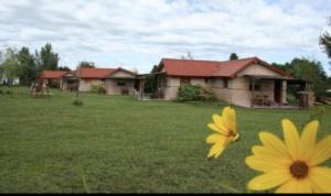 a yellow flower in the grass in front of a house at Cabanas Parparim in Mina Clavero