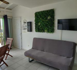 TV a/nebo společenská místnost v ubytování Ti kay dous - Mer des Caraïbes & piscine + 4 fotografie