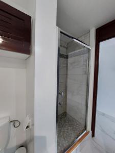 eine Dusche mit Glastür im Bad in der Unterkunft STUDIO Feuilles d'or in La Trinité