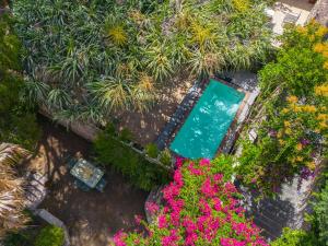 A garden outside Dbhousetaormina