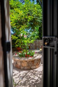A garden outside Dbhousetaormina