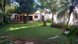 A garden outside Casa de Mia