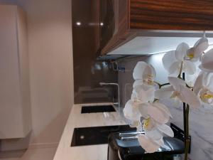 un ramo de flores blancas en un mostrador de cocina en Liris Holiday Apartments, en Nazaré 58 fotos más