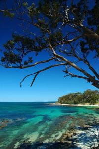 a view of a beach with clear water and trees at Bay and Bush Cottages Jervis Bay in Huskisson