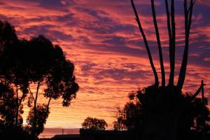 Fotografie z fotogalerie ubytování The Woomelang Hotel v destinaci Woomelang