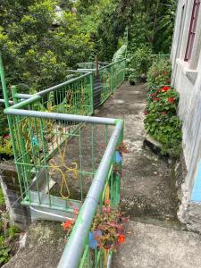 Zahrada ubytování Vilma's Homestay
