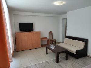 TV a/nebo společenská místnost v ubytování Guest House Lila