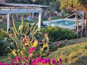 a garden with a cactus and a swimming pool at La Quercia della Gallura in Luogosanto +23 photos