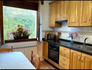 a kitchen with wooden cabinets and a window and a sink at Casa la melliza VV-3021AS in Mestas de Con