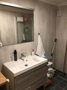 W łazience znajduje się biała umywalka i lustro. w obiekcie Åsgardane Gjestegard w mieście Gol