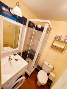 uma casa de banho com um WC, um lavatório e um chuveiro em Appartement avec magnifique vue Piscine Lac et Mer Ref RDL 113 em Saint-Raphaël