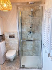 uma casa de banho com um chuveiro e um WC. em Domki pod brzozami Ustroń em Ustroń