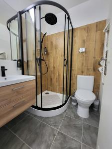 a bathroom with a shower and a toilet and a sink at Apartmány hotelu Ostrý in Železná Ruda