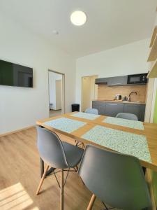 a conference room with a long table and chairs at Apartmány hotelu Ostrý in Železná Ruda