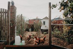 奥尔巴尼The Allotment Albany - Centrally Located Cottage in Old Albany的相册照片