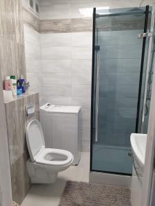 a bathroom with a toilet and a glass shower at Apartament Stanley in Iława