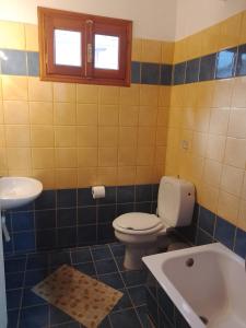 a bathroom with a toilet and a sink and a tub at Arka Metsovo in Metsovo
