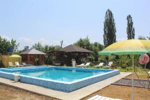 a swimming pool in a yard with an umbrella at Фазенда "Змерега" in Solotvyno