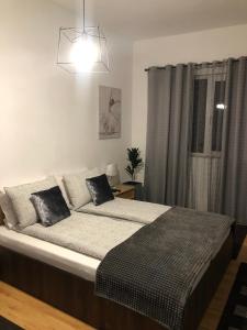 um quarto com uma cama grande e uma janela em Apartament BAȘAK 2 em Deva