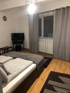 um quarto com uma cama, uma televisão e uma janela em Apartament BAȘAK 2 em Deva