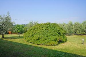 Zdjęcie z galerii obiektu Villa Tamara - Gardagate w mieście San Felice del Benaco +34 zdjęcia