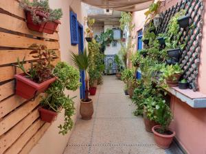 an alley with potted plants on the side of a building at Dar Rmila 4 in Marrakesh