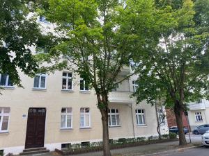 魏斯瓦塞爾的住宿－Ferienwohnung im Mehrfamilienhaus，两棵树在房子前面
