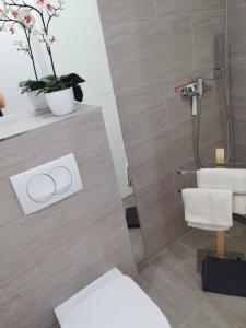 a bathroom with a shower and a toilet and a sink at Apartmani Deluxe in Jasenice +24 photos