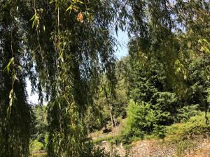 Zdjęcie z galerii obiektu Le Moulin de Bouzigue w mieście Valleraugue