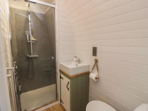 a bathroom with a shower and a sink and a toilet at Laird Lodge 5 in Lockerbie