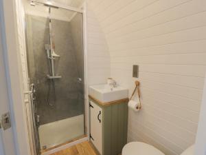 a bathroom with a shower and a sink and a toilet at Laird Lodge 4 in Lockerbie