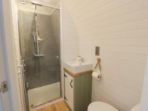 a bathroom with a shower and a sink and a toilet at Laird Lodge 3 in Lockerbie