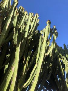 Fotografia z galérie ubytovania Balcón del amanecer fuerteventura v destinácii El Charco