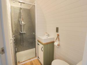 a bathroom with a shower and a sink and a toilet at Laird Lodge 1 in Lockerbie