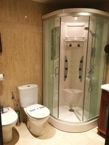 a bathroom with a shower and a toilet and a sink at Casa Rural FranciaQuilamas in Santibáñez de la Sierra