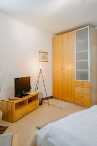Televiisor ja/või meelelahutuskeskus majutusasutuses Haus LUNA - Privatzimmer im sonnigen Südburgenland