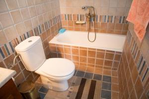 a bathroom with a toilet and a bath tub at Matina's traditional house in Haraki